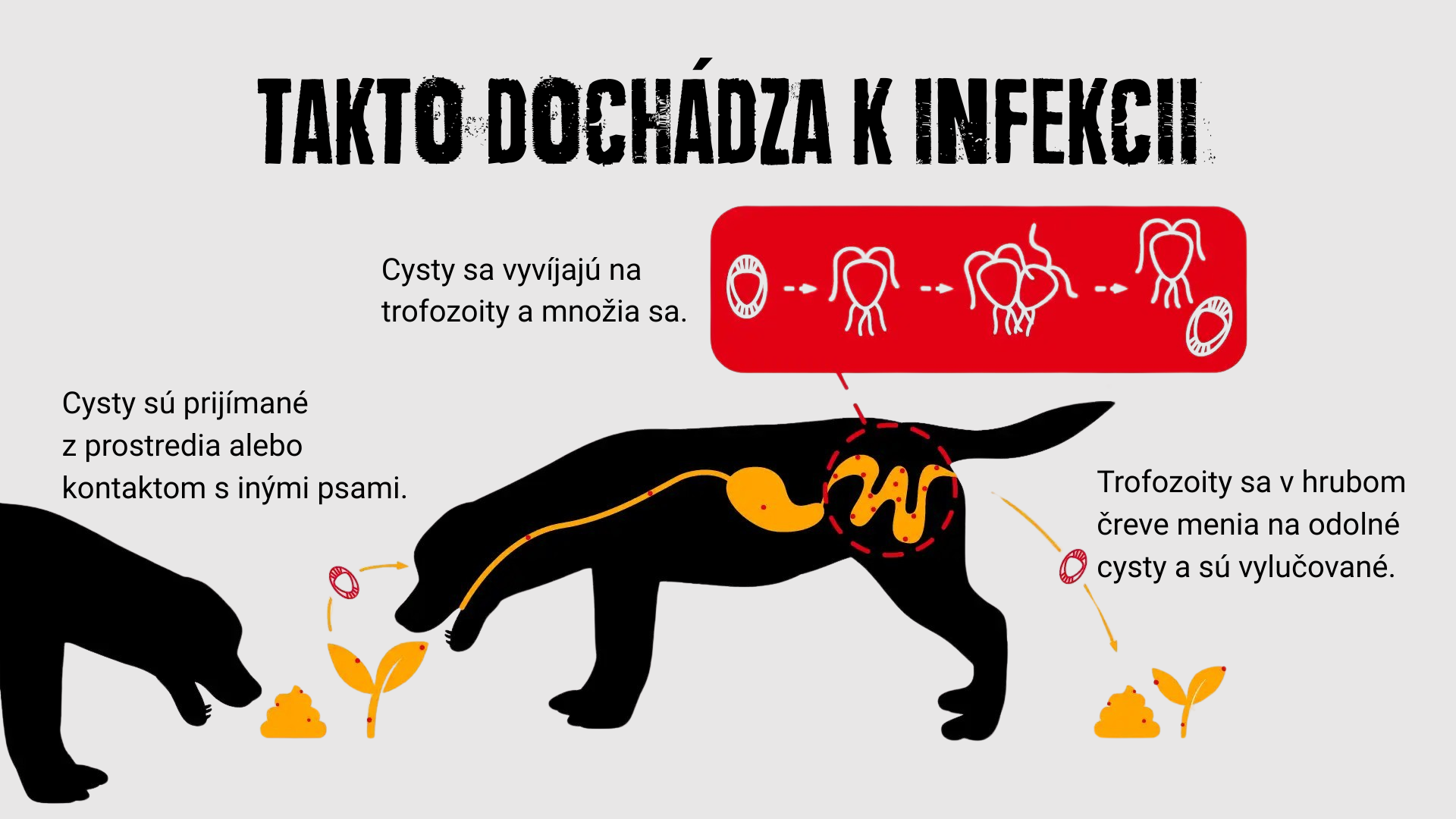 TAKTO DOCHÁaDZA K INFEKCII